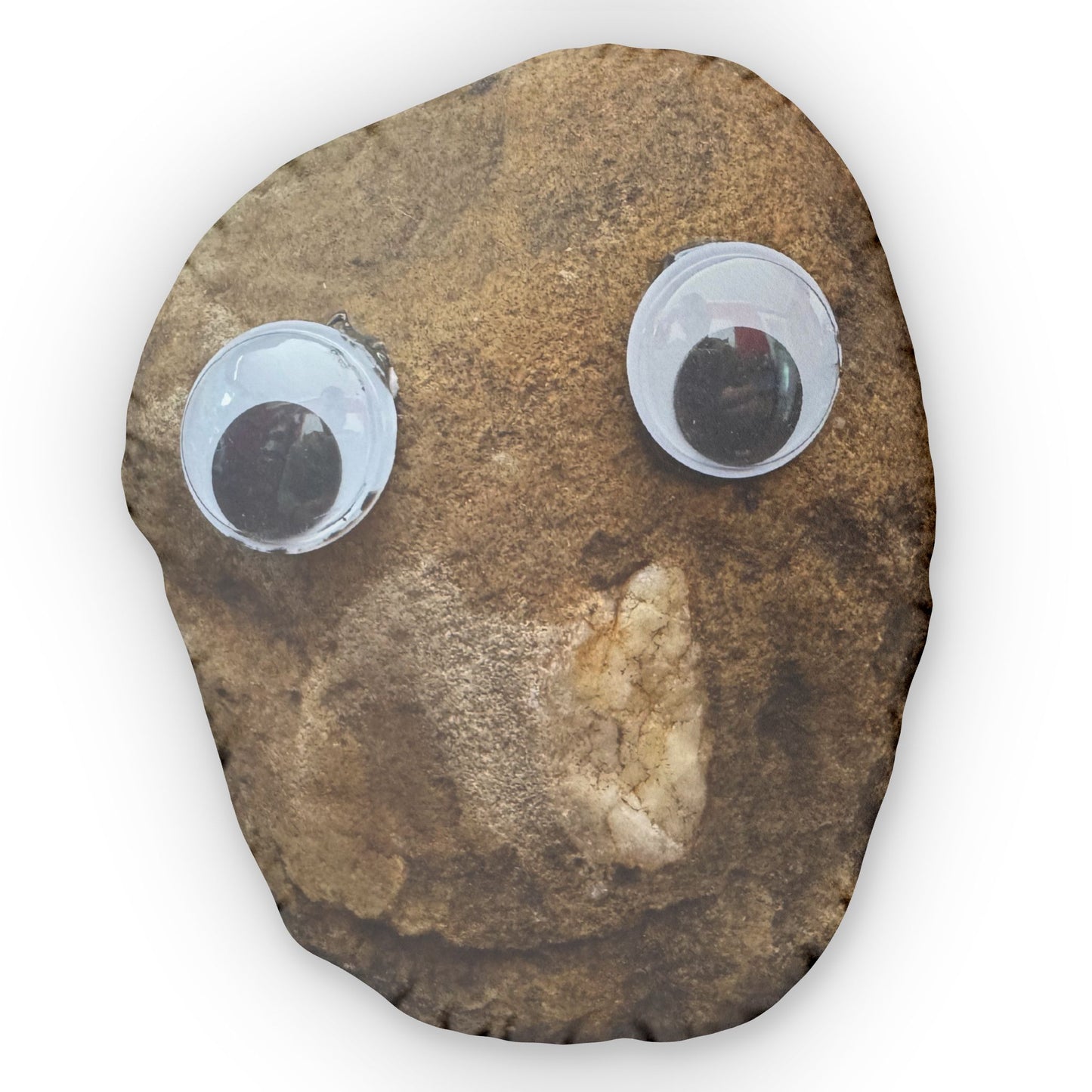 Doug Shaped Pillows