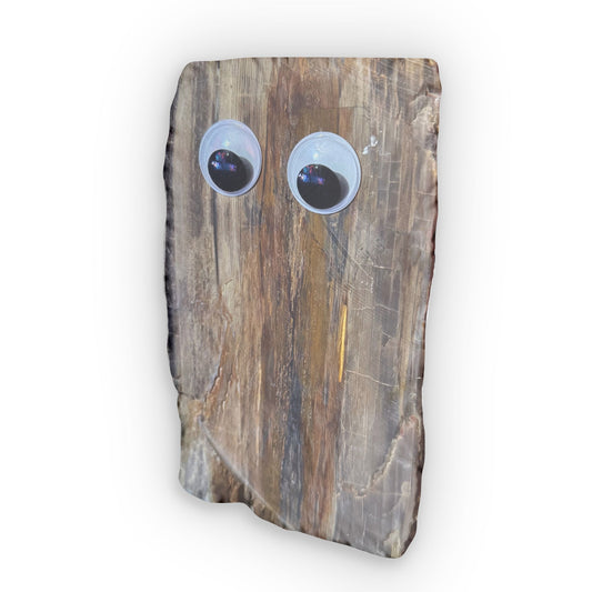 Sharron Stone Shaped Pillows